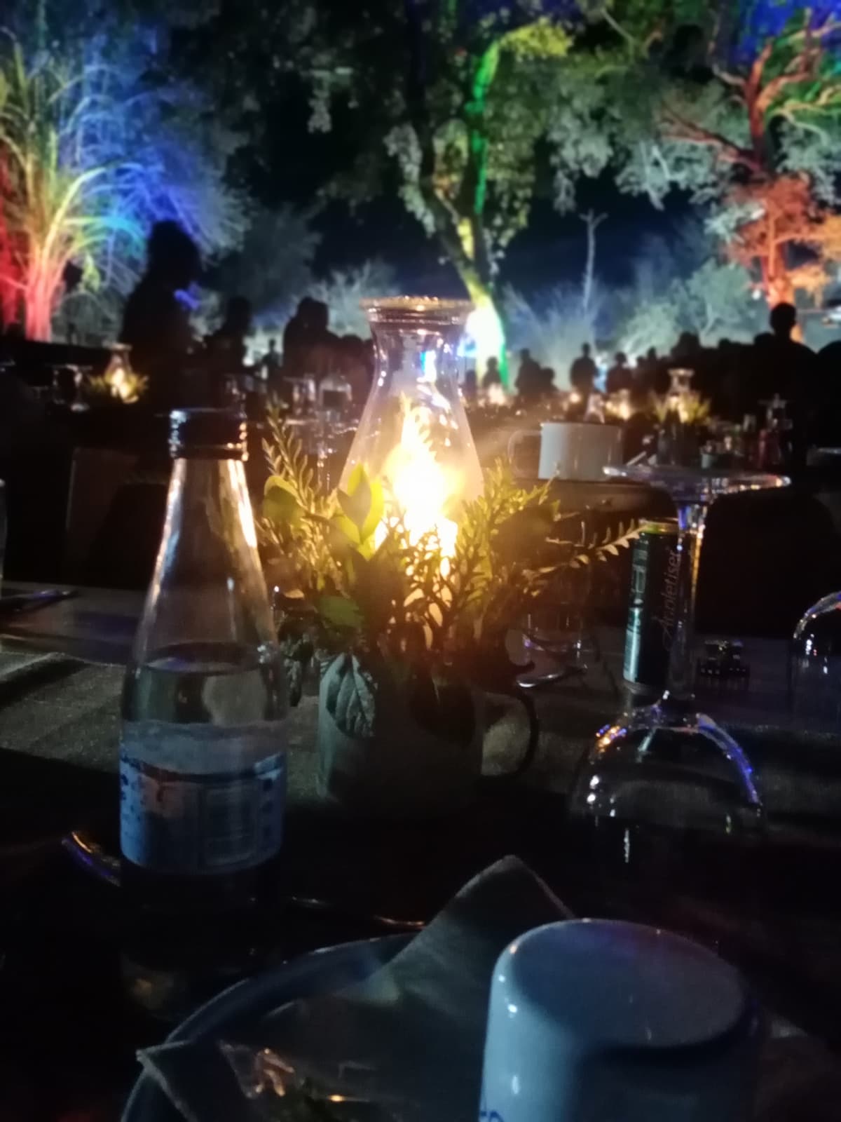 Night Candles